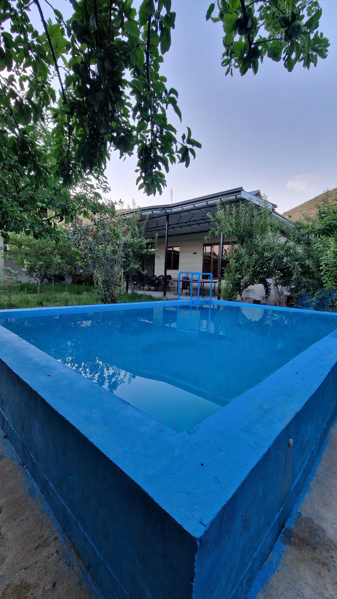 Rich House
